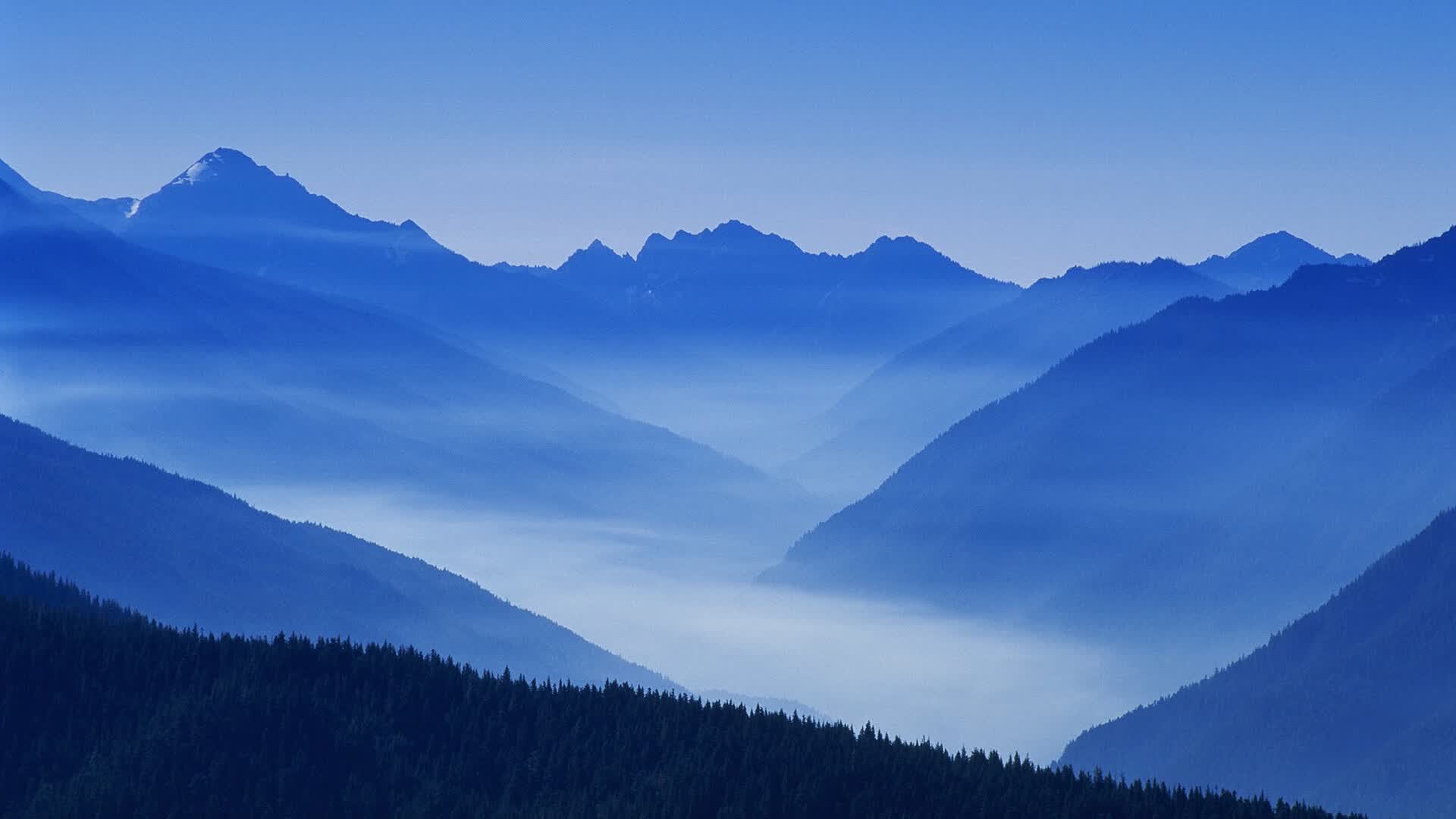 世界登山青年导师生态修复项目第三批结项汇报,国际登山联合会